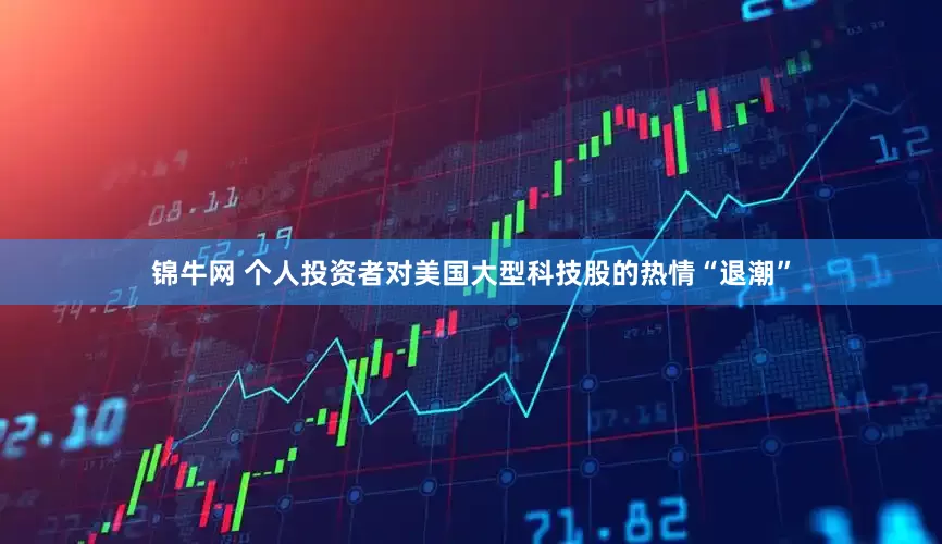 锦牛网 个人投资者对美国大型科技股的热情“退潮”