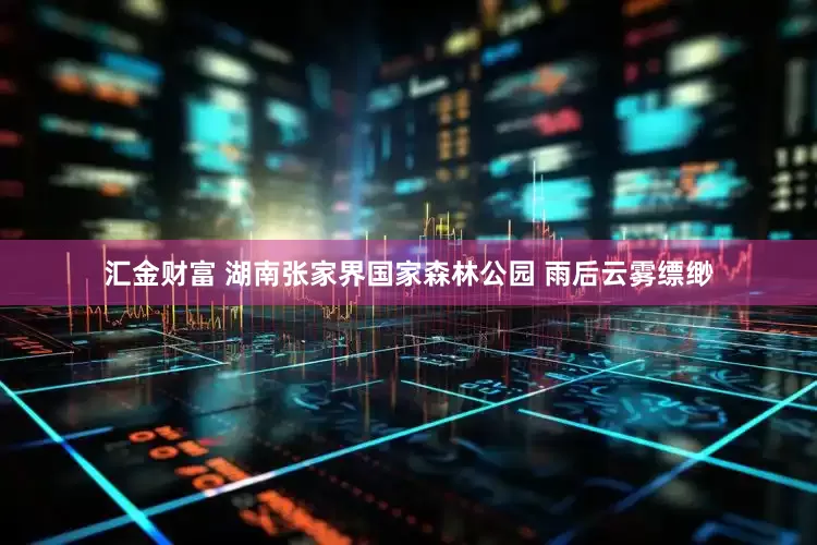 汇金财富 湖南张家界国家森林公园 雨后云雾缥缈