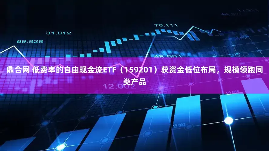 鼎合网 低费率的自由现金流ETF（159201）获资金低位布局，规模领跑同类产品