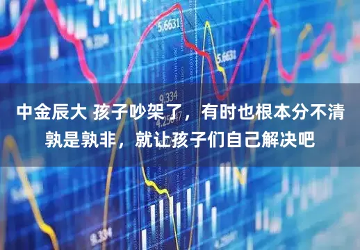 中金辰大 孩子吵架了，有时也根本分不清孰是孰非，就让孩子们自己解决吧